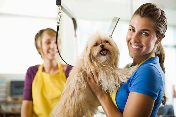 Dog Grooming